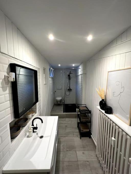 Superbe Duplex En Hyper Centre Apartment Saint-Etienne  Luaran gambar